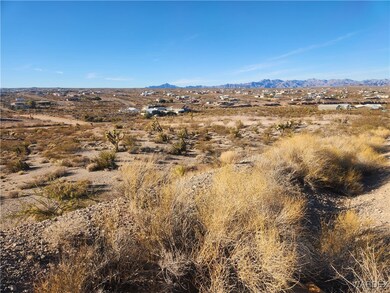 View of both lots looking to the Southwest from N.