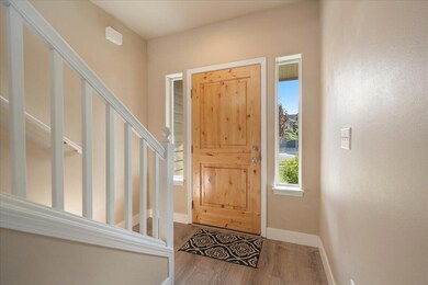 05-61131 Brown Trout Pl-4