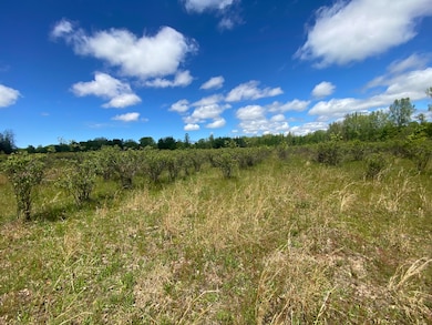 0 62nd St, Grand Junction, MI 49056 - photo 3