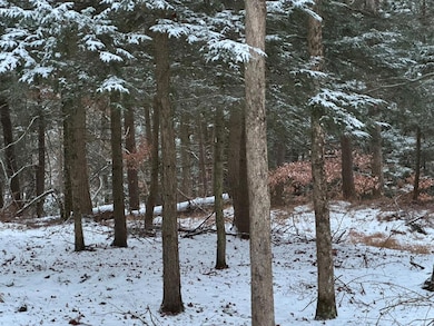 0 Sackett Creek Rd, South Waverly, PA 18840 - photo 2