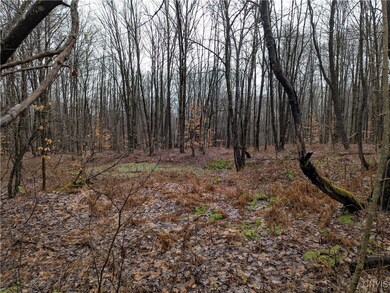 0 Ryan Rd, Williamstown, NY 13493 - photo 7