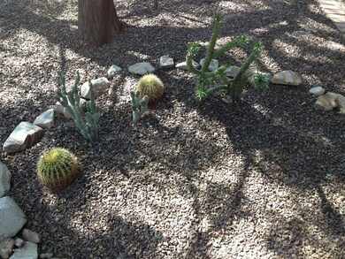 Desert Landscape