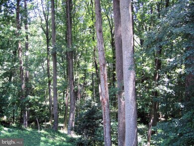 12607 Pentenville Rd, Silver Spring, MD 20904 - photo 7