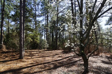 15 Quail Run spring