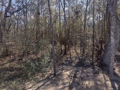 0 Oak Ln, Magnolia, TX 77354 - photo 2