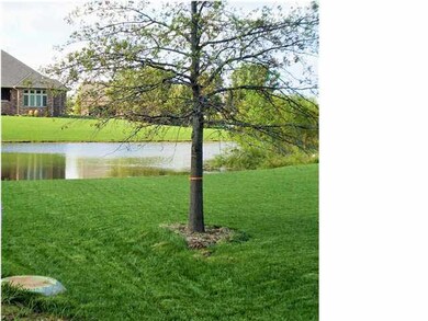 View of the pond from the back of the lot
