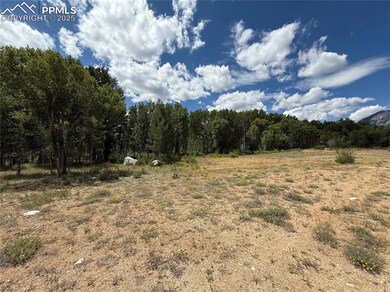 17566 Trout Cir, Buena Vista, CO 81211 - photo 5