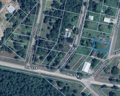 102 Pleasure Pass, Coldspring, TX 77331 - photo 4