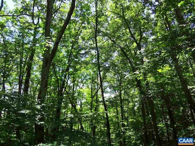 4 Laurel Ct unit LAUREL RIDGE 99, Nellysford, VA 22958 - photo 5