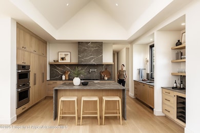 1014 Bald Eagle Way, Carbondale, CO 81623 - photo 3