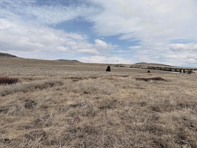 2533 E Meadow Lake Dr, Brian Head, UT 84719 - photo 3