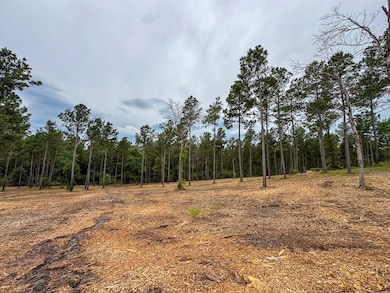 0 Guerrant Rd N unit 23220622, Huntsville, TX 77320 - photo 7