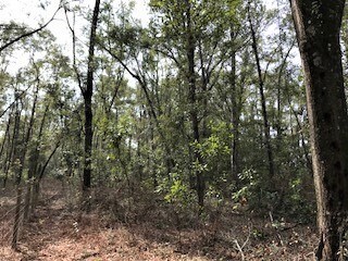 LOT 18 282nd Terrace, Branford, FL 32008 - photo 2