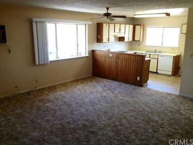 Unit C livingroom, very large with wall AC and Cei