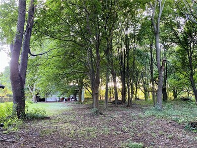 Back yard behind barn.