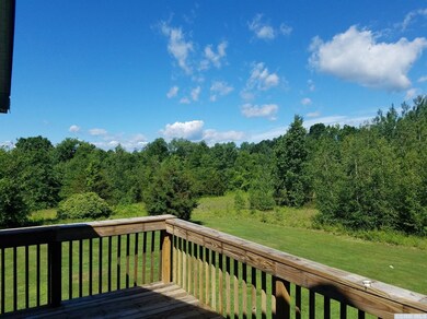 181 Nevis Rd, Tivoli, NY 12583 - photo 4