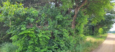 0000 Old Sadler Rd, Sadler, TX 76264 - photo 3