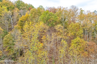 Lots 1 2 3 Timber Grove Rd, Sevierville, TN 37862 - photo 3