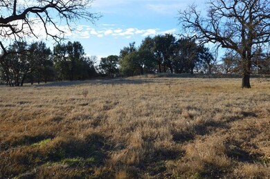 508 Dually Trail, Weatherford, TX 76087 - photo 7