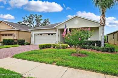 3-web-or-mls-P1338346