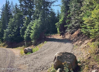 Lot 3 Mountain Ridge Dr, Sagle, ID 83860 - photo 7