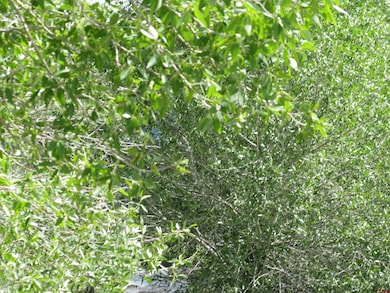 TBD Vacant Land St, Villa Grove, CO 81155 - photo 6