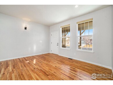 5381 Carriage Hill Ct, Timnath, CO 80547 - photo 4