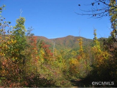 Nice Fall Colors