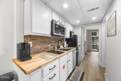 685 River Rd unit 303, Gatlinburg, TN 37738 - photo 5