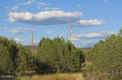 2470 N Luana unit 809, Ash Fork, AZ 86320 - photo 2