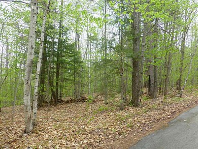 Land. Back lot