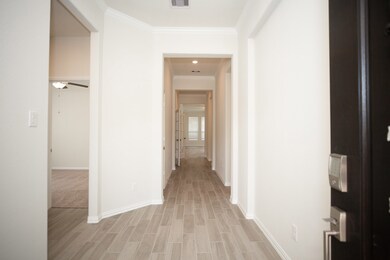 28634 Monarch Cliffs Dr, Fulshear, TX 77441 - photo 3