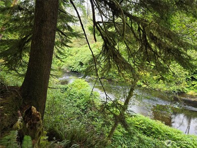 0 NKA Lund Rd, Cosmopolis, WA 98537 - photo 7