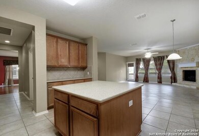 25547 Wentink Ave, San Antonio, TX 78261 - photo 4