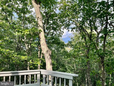 960 Red Fox, Maysville, WV 26833 - photo 7