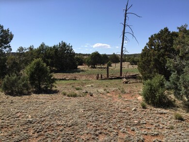 0 Linden unit 219720, Show Low, AZ 85901 - photo 7