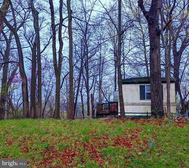 0 Block 78 Lot 67 Yogi Bear Blvd, Falling Waters, WV 25419 - photo 4