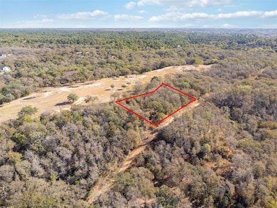Lot 643, 644 & 645 Kaukonahua Ln, Bastrop, TX 78602 - photo 4