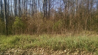 IMG_20170505_091607419