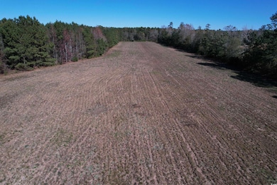 819 Quail Rd, Hemingway, SC 29554 - photo 6