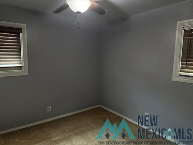 211 N Elm St, Carlsbad, NM 88220 - photo 4