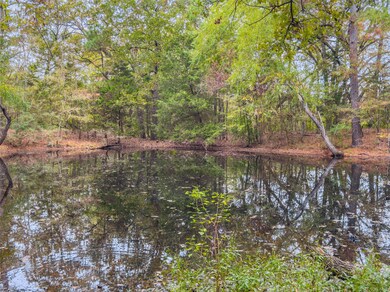 00 County Road 163, Elkhart, TX 75839 - photo 7