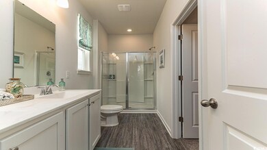 Bathroom featuring a shower with door, vanity, woo