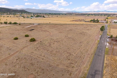 Parcel068B-Springerville-AZ-14