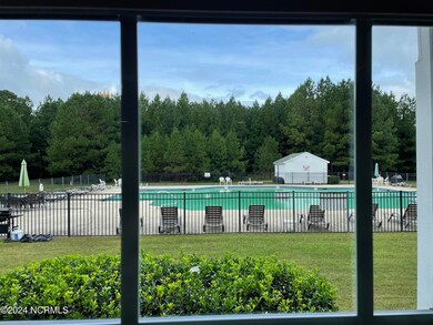 C101POOLVIEW