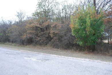 31008 Doe Run Ct, Whitney, TX 76692 - photo 2