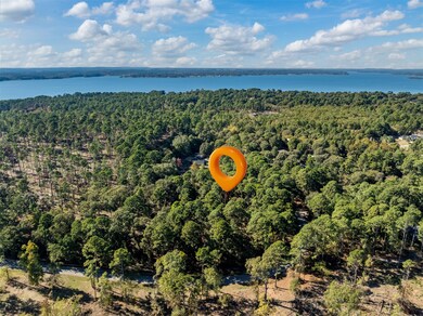 Lot 6 Pintail Dr, Flint, TX 75762 - photo 2