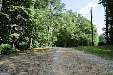 300 Speight Rd, Temple, GA 30179 - photo 6