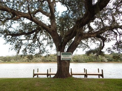 0 Noveno Dr, Brazoria, TX 77422 - photo 6