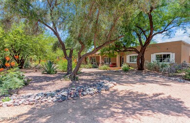 front yard 2